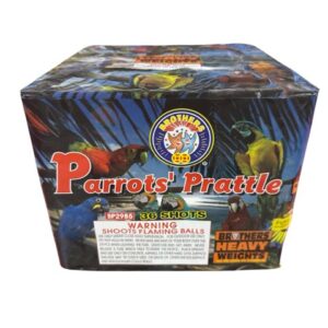 Parrots Prattle 36 shots