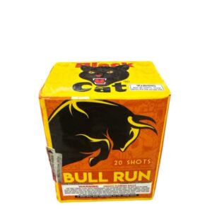 Bull Run 20 shots