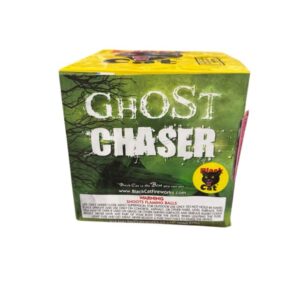 Ghost Chaser