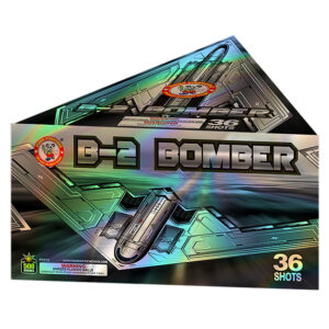 B-2 Bomber 36 shots