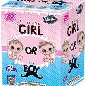 Girl Or Boy Gender Reveal Smoke Cake