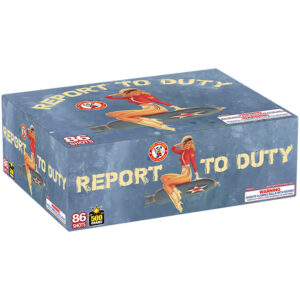 Report To Duty 86 shots