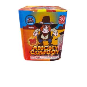 Angry Cowboy 16 shots